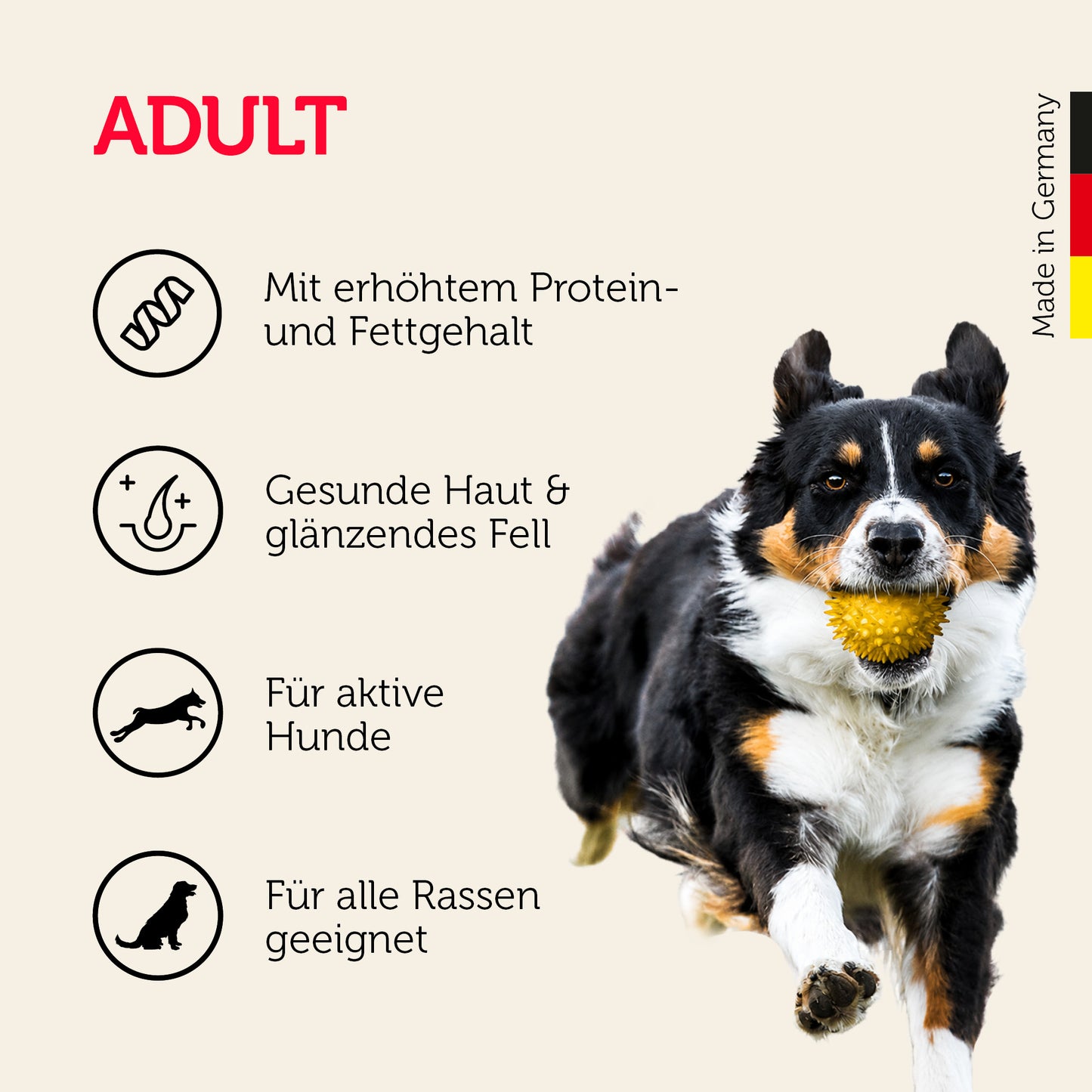 Adult-Hundefutter für alle aktiven Hunde