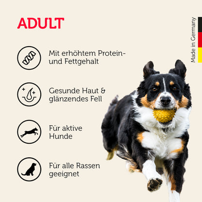 Adult-Hundefutter für alle aktiven Hunde