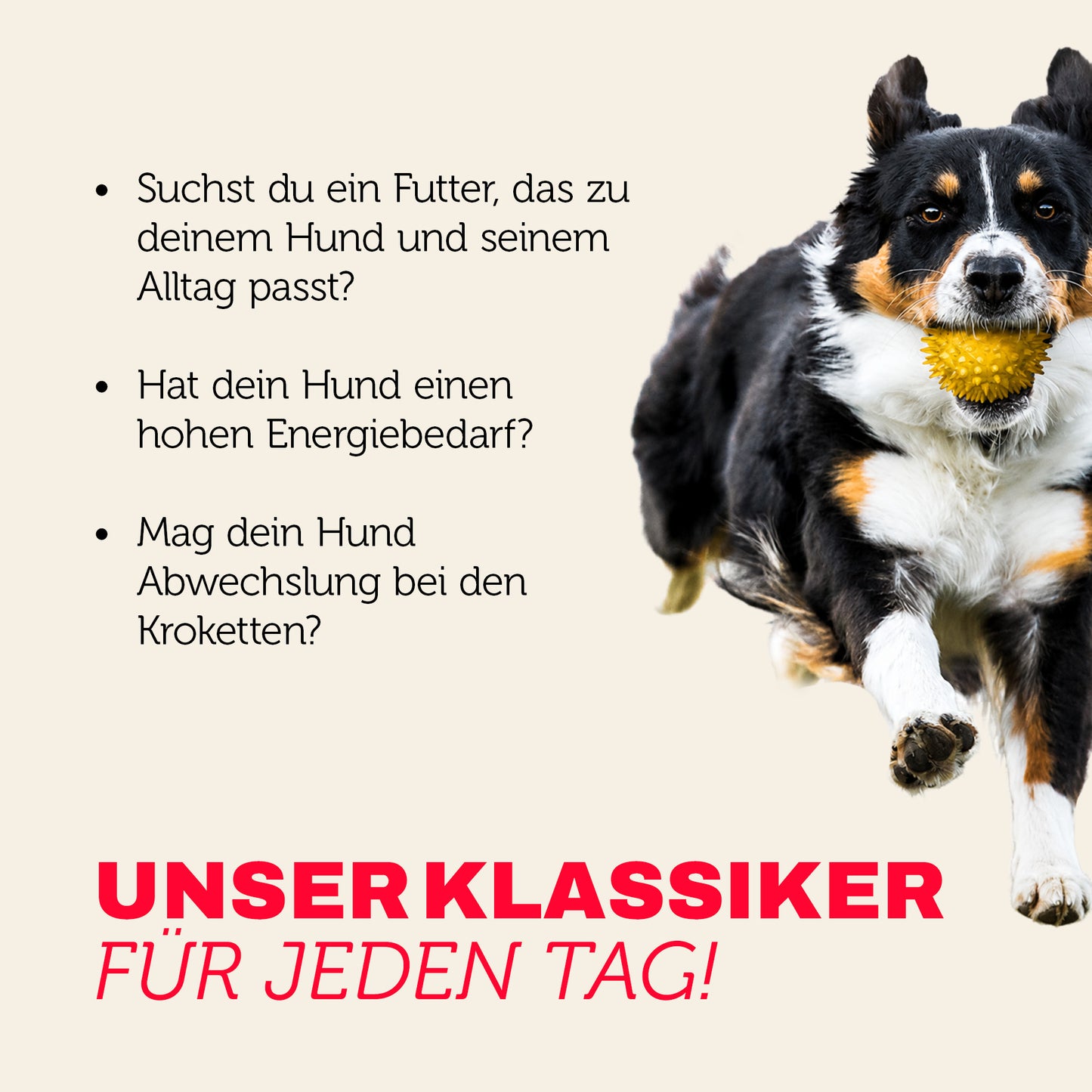 Hundefutter Klassiker für jeden Tag - abwechslungsreiche Kroketten für aktive Hunde