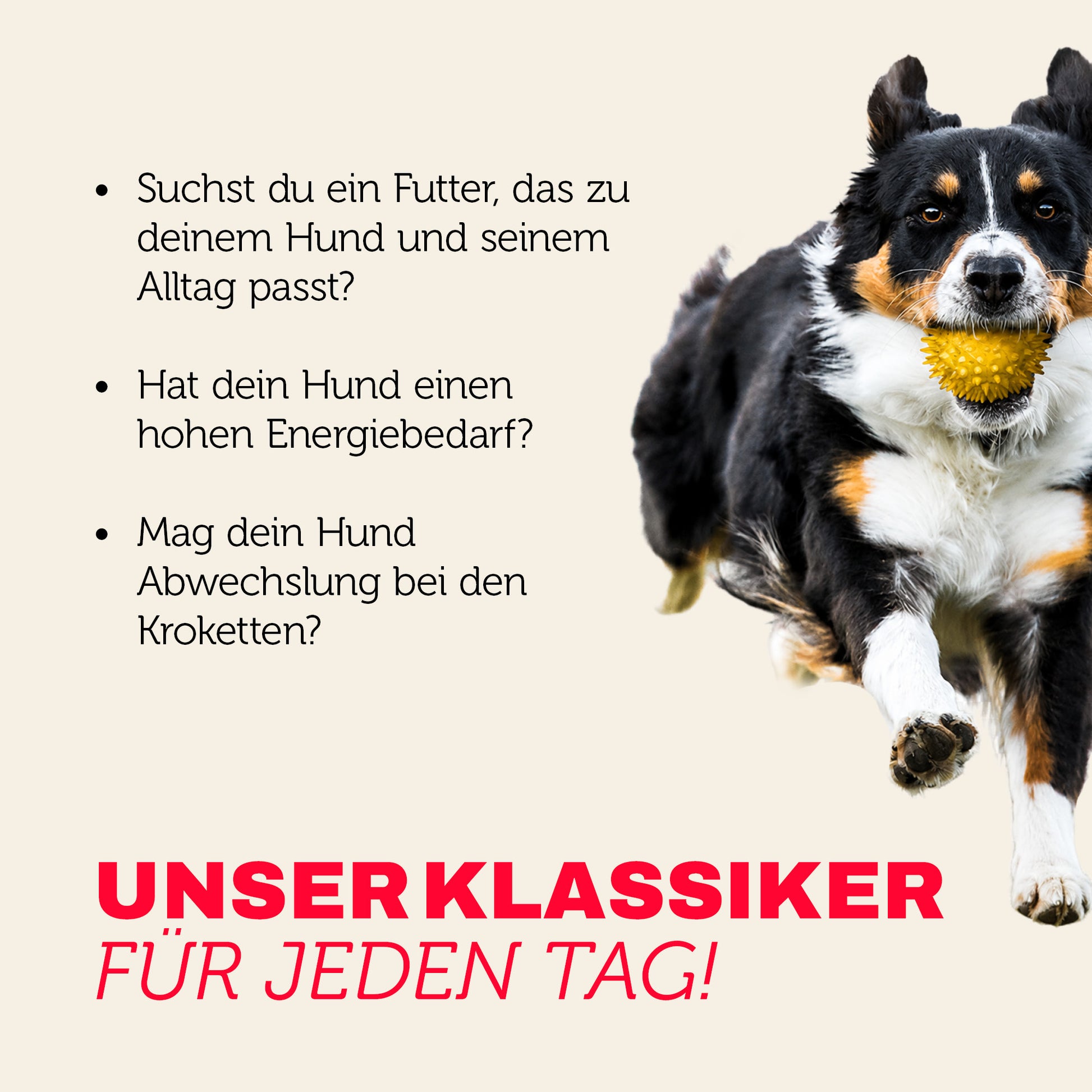 Hundefutter Klassiker für jeden Tag - abwechslungsreiche Kroketten für aktive Hunde