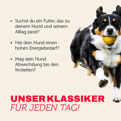 Hundefutter Klassiker für jeden Tag - abwechslungsreiche Kroketten für aktive Hunde