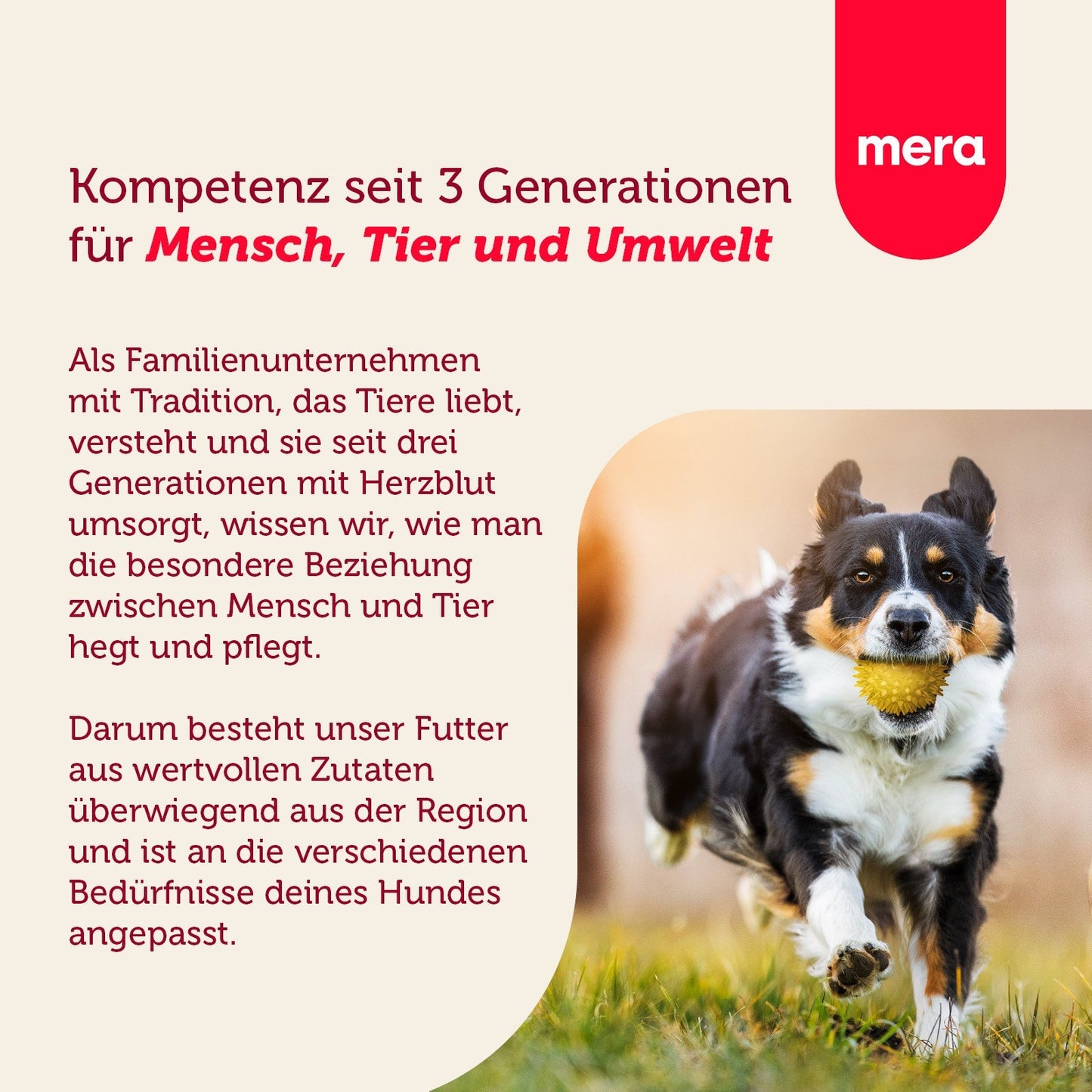 mera essential Softdiner Mix Menü Active Unternehmensvision