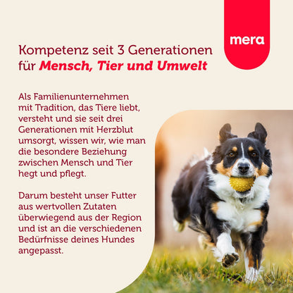 mera essential Softdiner Mix Menü Active Unternehmensvision