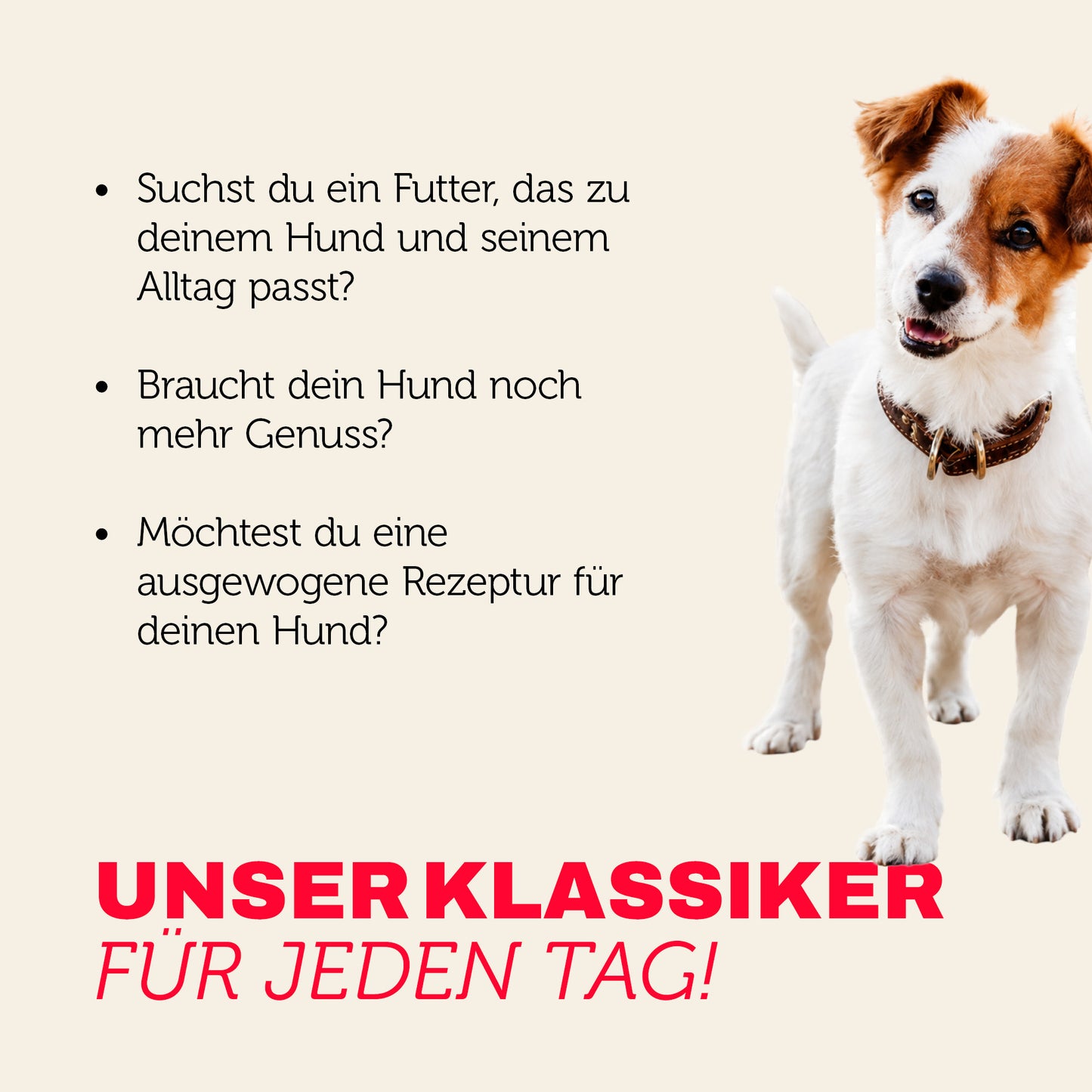 Hundefutter Klassiker für jeden Tag - ausgewogen und mit mehr Genuss