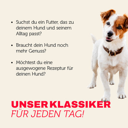 Hundefutter Klassiker für jeden Tag - ausgewogen und mit mehr Genuss