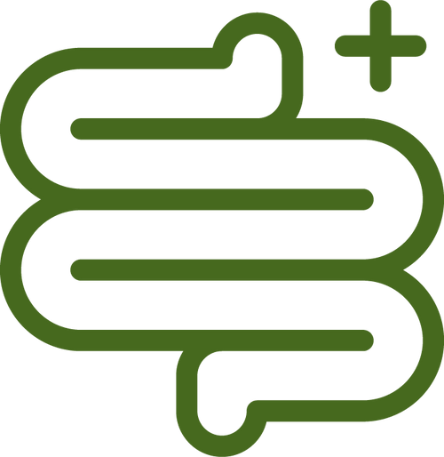 mera pure green Icon - Darmflora