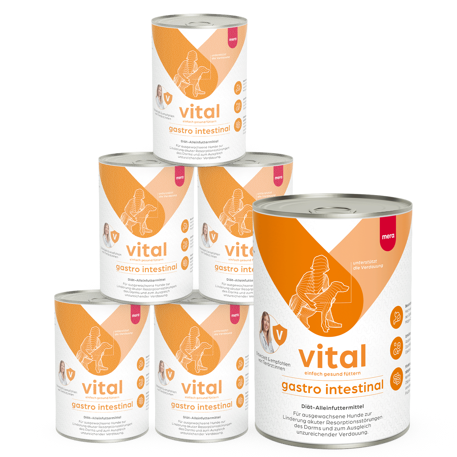 mera vital Hund gastro intestinal Nassfutter Pyramide