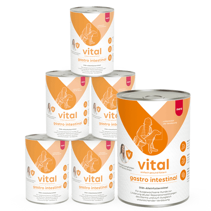 mera vital Hund gastro intestinal Nassfutter Pyramide