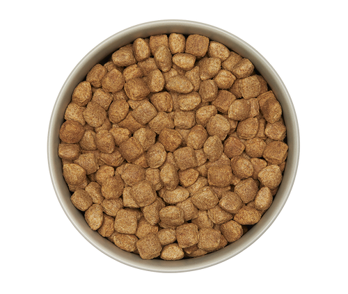 insect pro Hunde-Trockenfutter