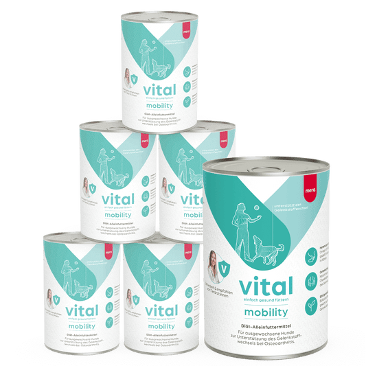 mera vital Hund mobility Nassfutter Pyramide