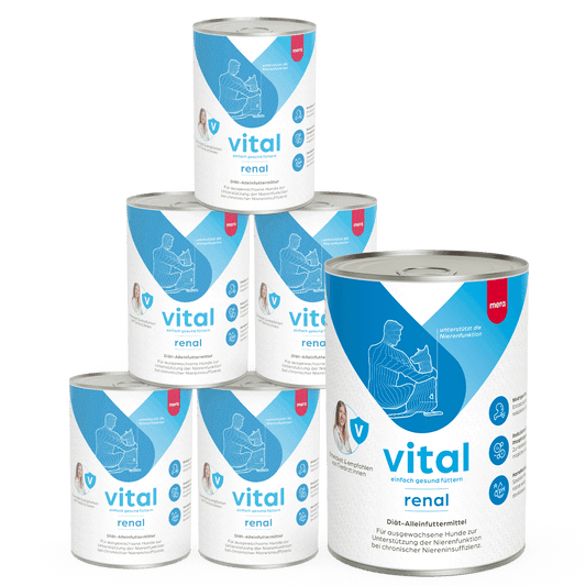 mera vital Hund renal Nassfutter Pyramide