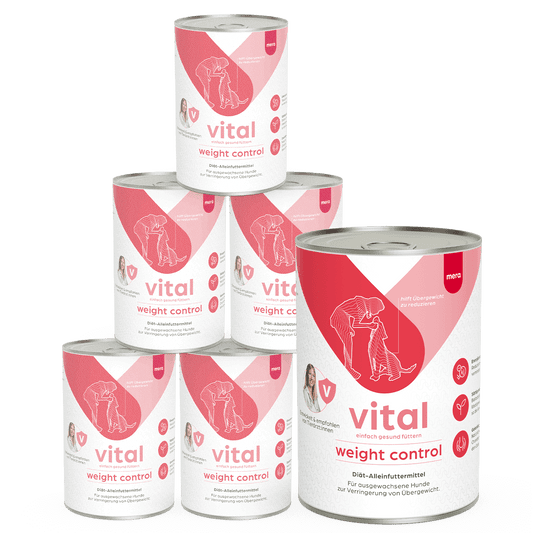 mera vital Hund weight control Nassfutter Pyramide