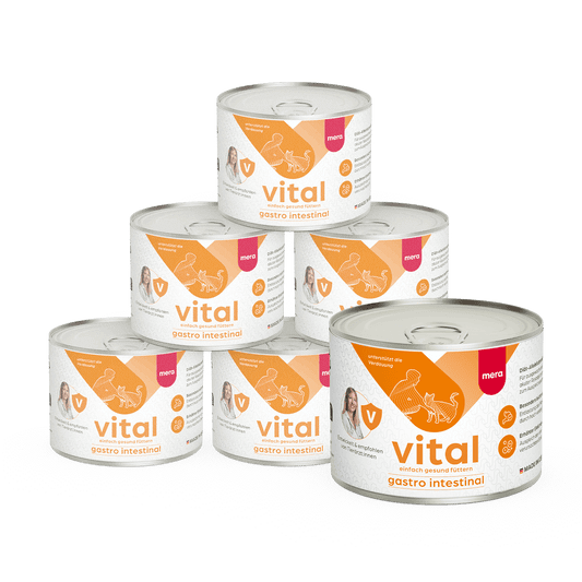 mera vital Katze gastro intestinal Nassfutter Pyramide