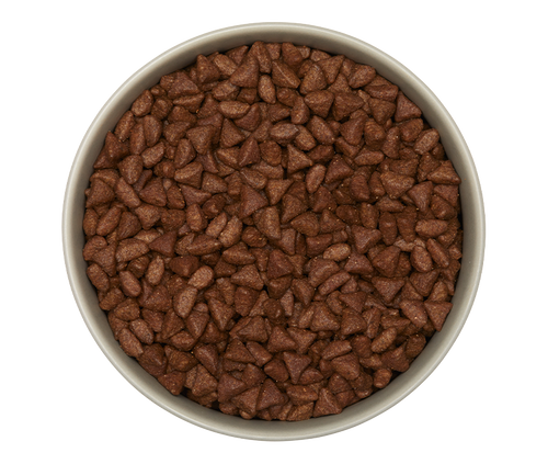 gastro intestinal Katzen-Trockenfutter