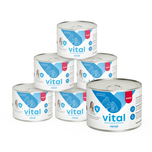 mera vital Katze renal Nassfutter Pyramide