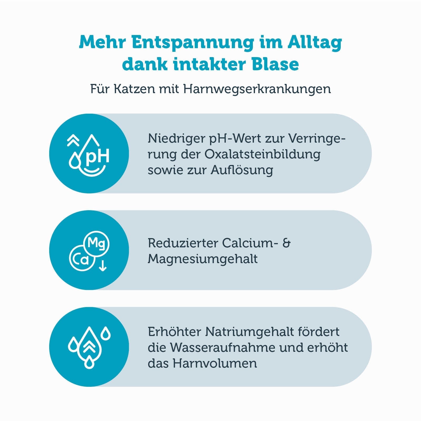 mera vital urinary Katze Nassfutter Produktvorteile