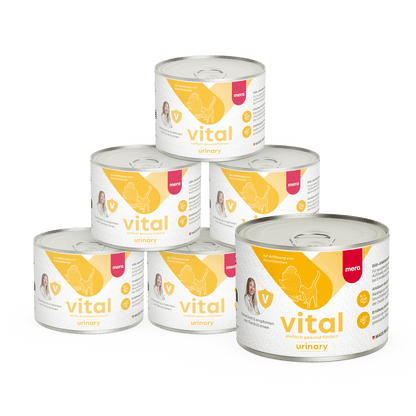 mera vital Katze urinary Nassfutter Pyramide