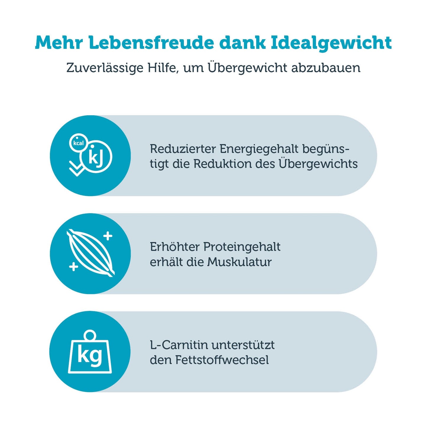 mera vital weight control Katze Produktvorteile