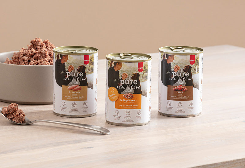mera pure sensitive Teaserbild - Nassfutterauswahl für Hunde