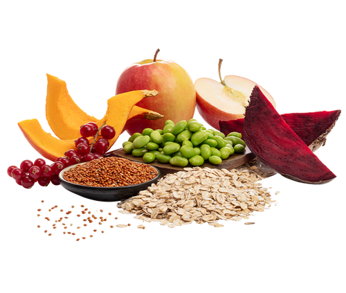 Veganes Trockenfutter - Hafer, Hirse & Favabohne