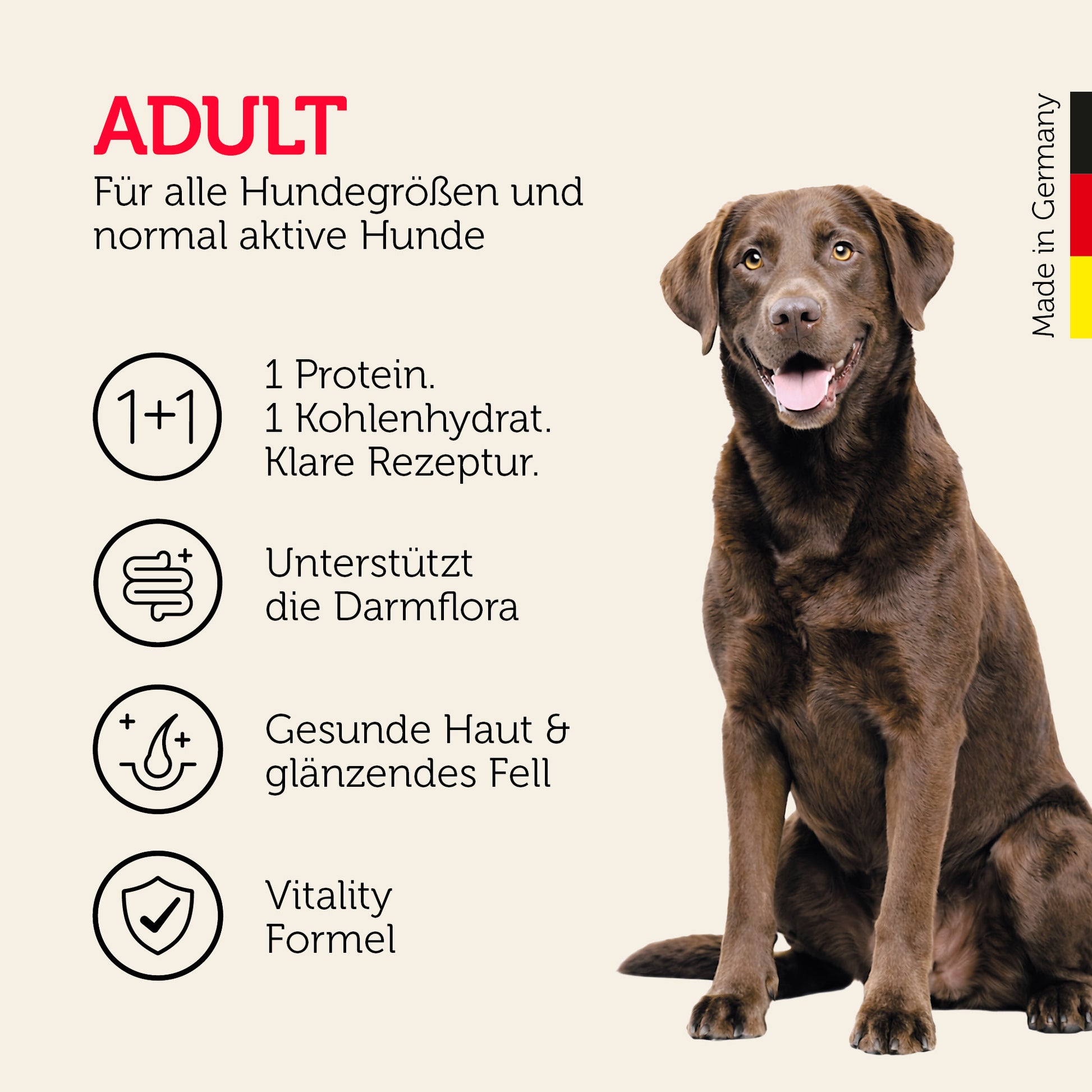 Adult-Hundefutter für alle Hundegrößen mit Darmflora-Unterstützung und Vitality Formel
