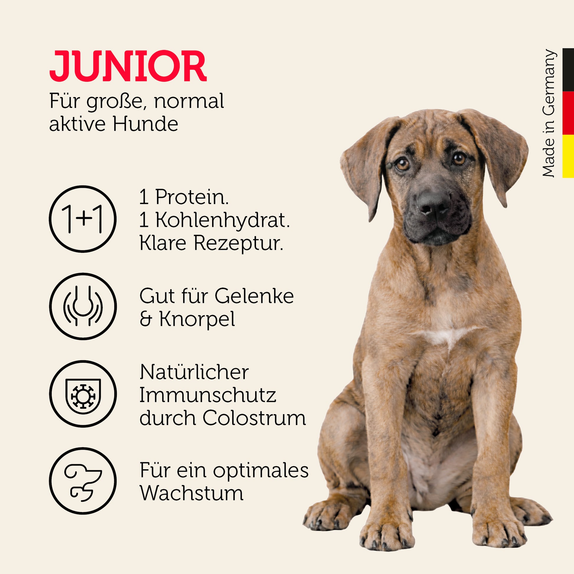 Junior-Hundefutter für große, normal aktive Hunde mit klarer Rezeptur
