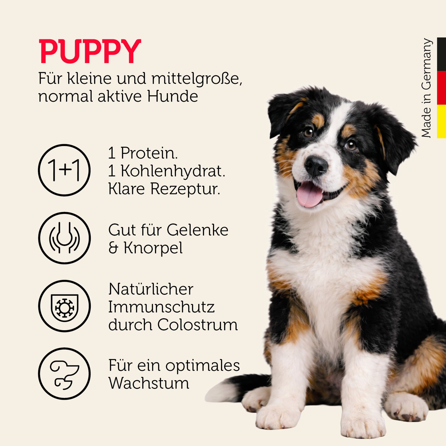 Puppy-Futter für kleine und mittelgroße, normal aktive Hunde mit klarer Rezeptur