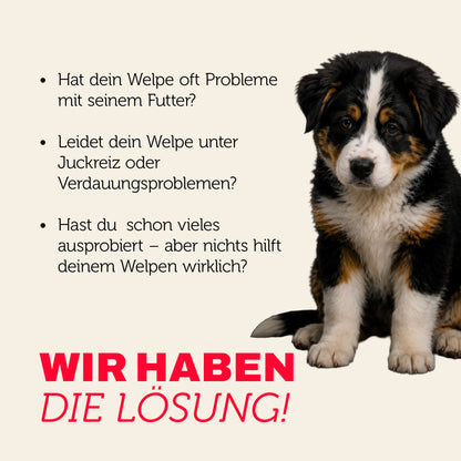 Welpe mit Verdauungsproblemen oder Juckreiz – mera hat die passende Lösung für sensible Hunde