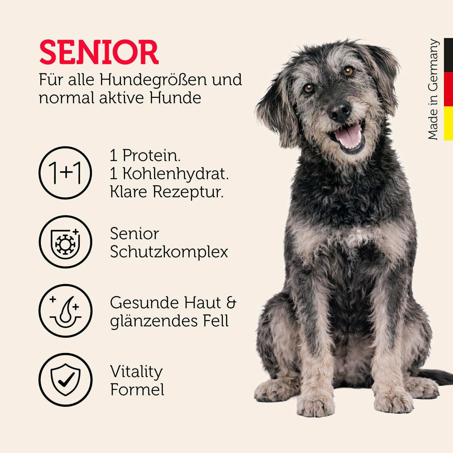 Senior-Hundefutter für alle Hundegrößen mit Schutzkomplex und Vitality Formel
