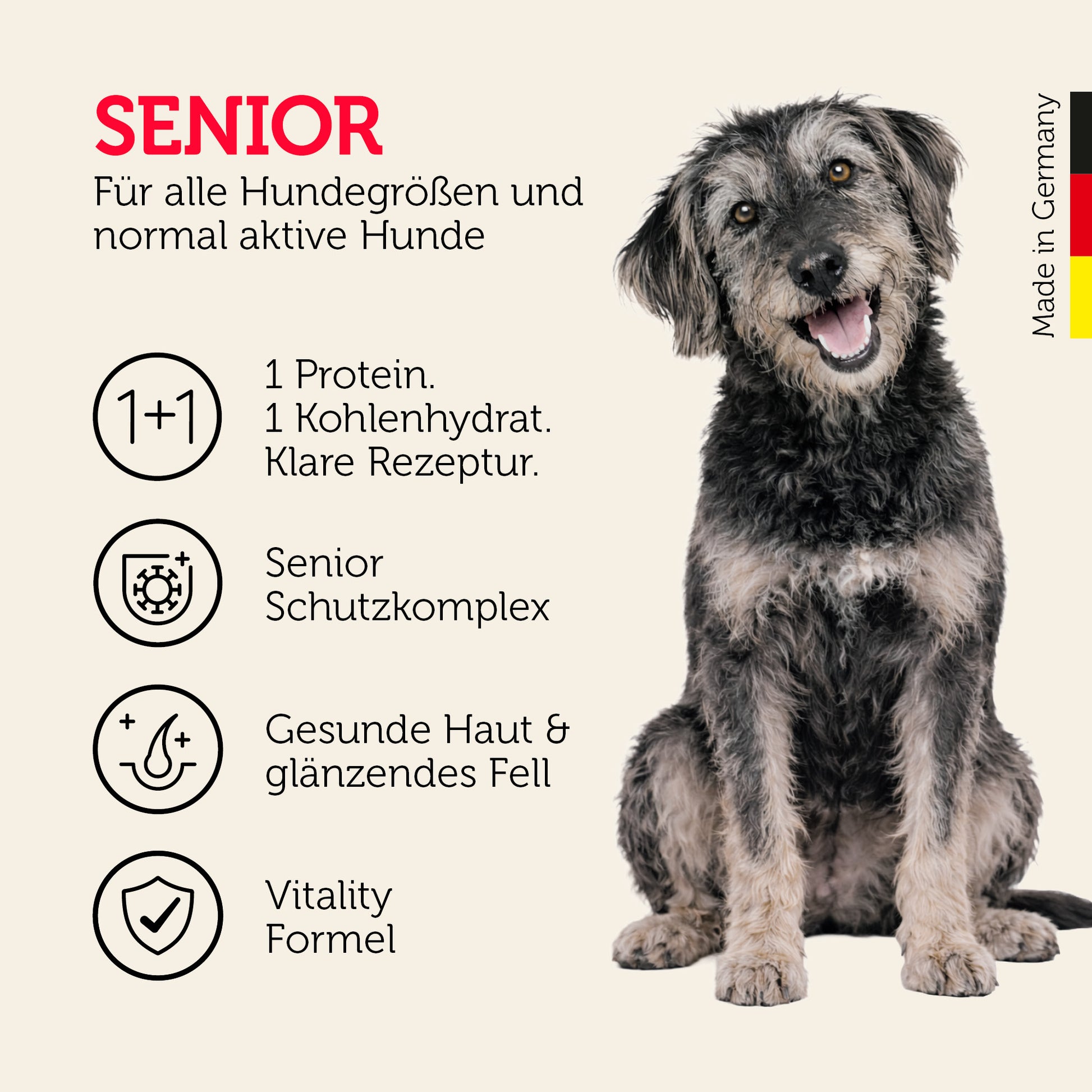 Senior-Hundefutter für alle Hundegrößen mit Schutzkomplex und Vitality Formel
