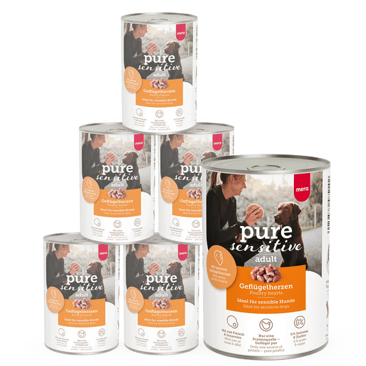 Geflügelherzen Nassfutter