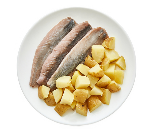 fresh meat Hering & Kartoffel Trockenfutter