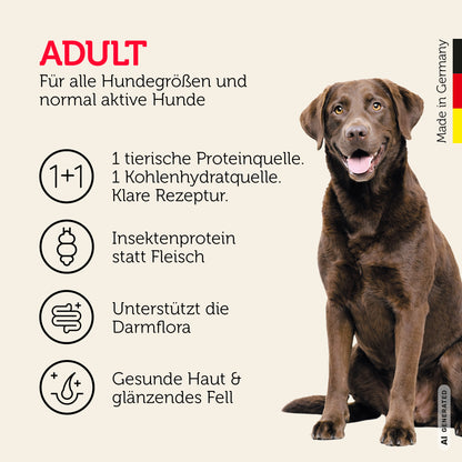 mera pure sensitive Goody Snacks Insect Protein Lösungen