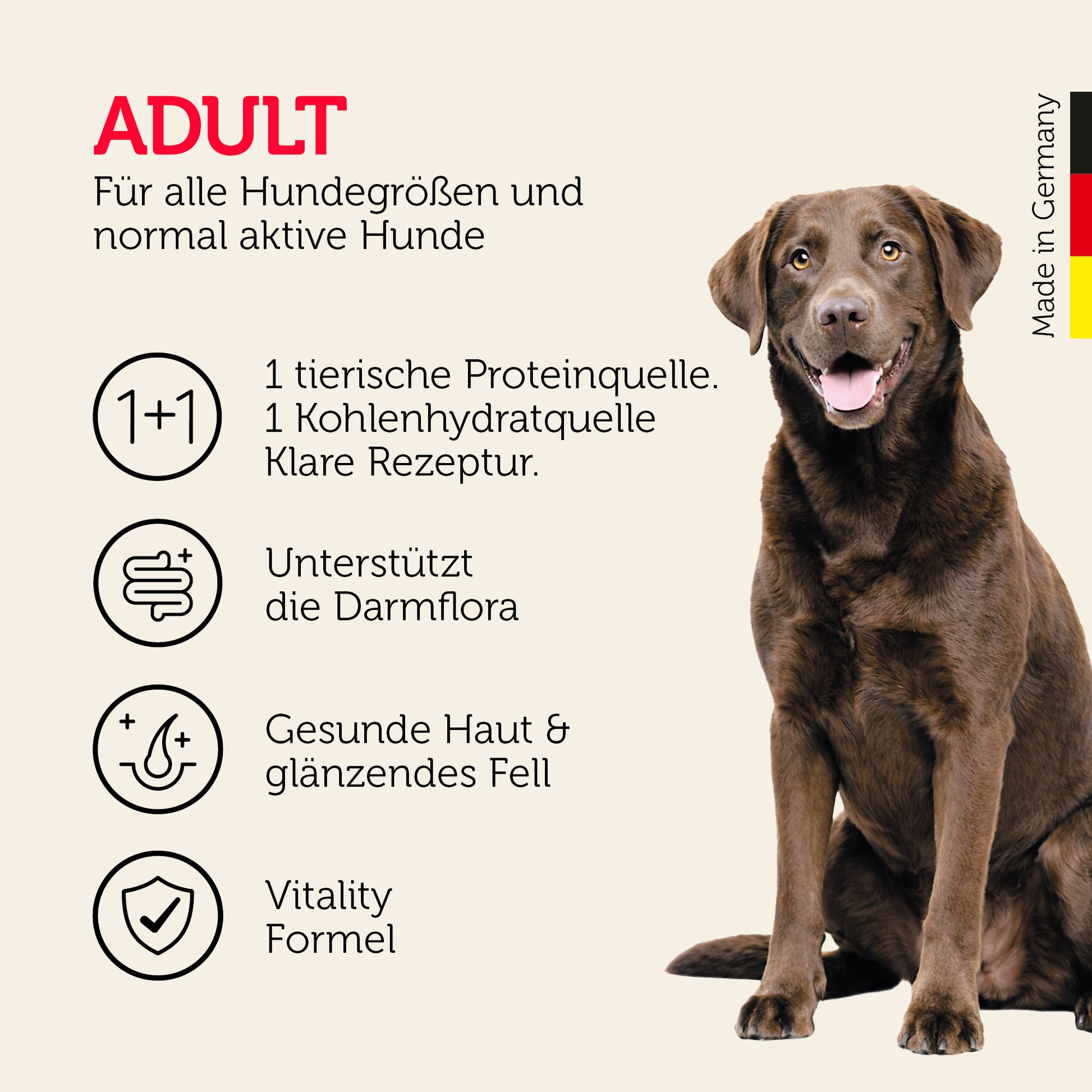 Adult-Hundefutter für alle Hundegrößen mit Darmflora-Unterstützung und Vitality Formel
