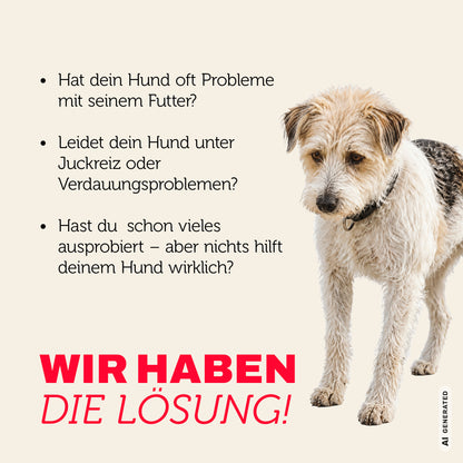 mera pure sensitive Mini Lamm & Reis Probleme