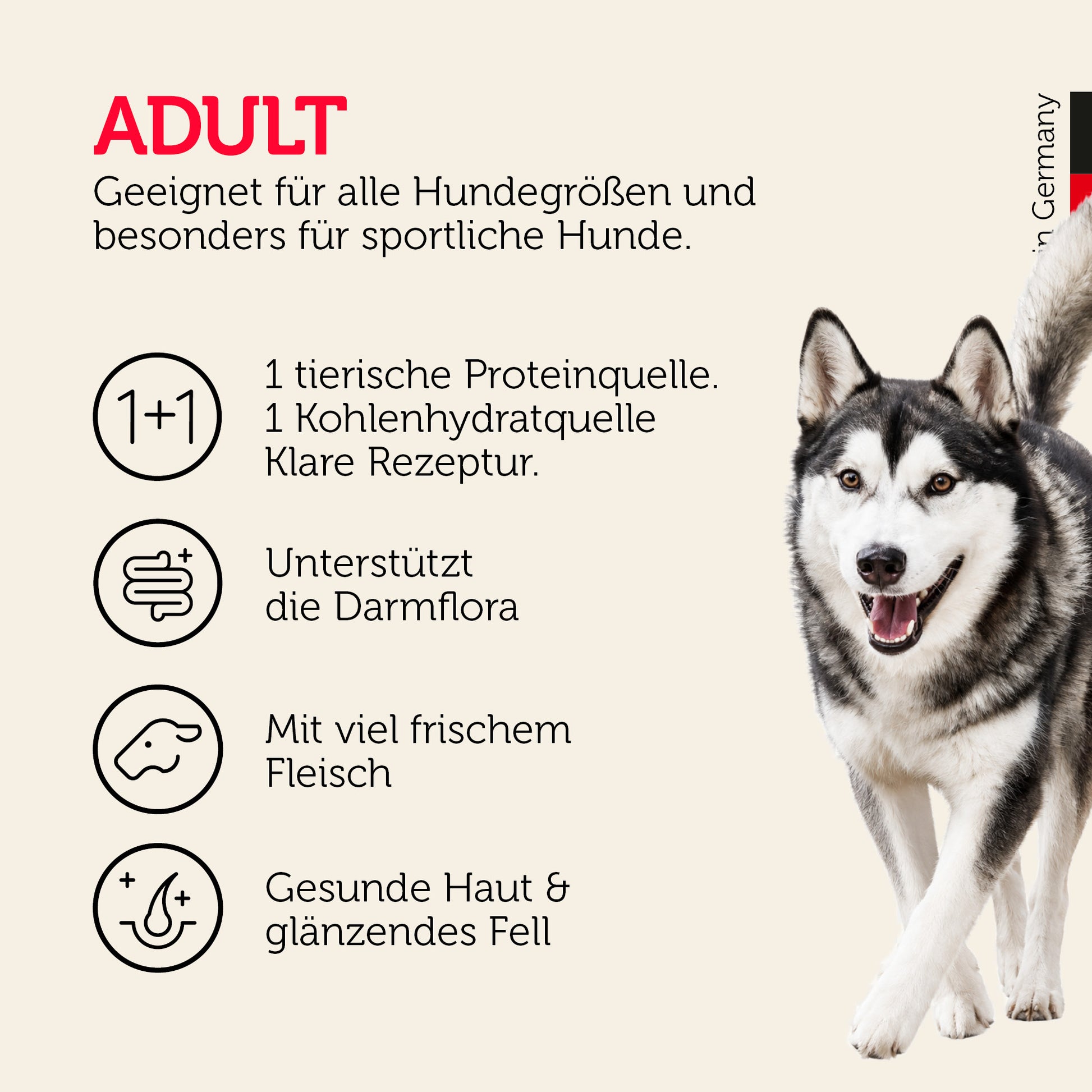 Adult-Hundefutter für alle Hundegrößen mit Darmflora-Unterstützung und Vitality Formel
