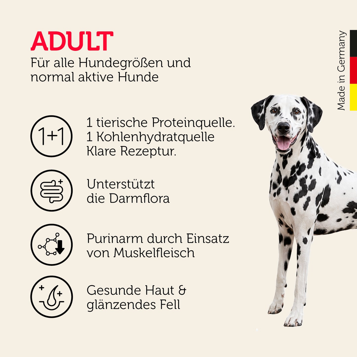 fresh meat Truthahn & Kartoffel Premium-Trockenfutter