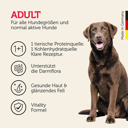 Truthahn & Reis Trockenfutter