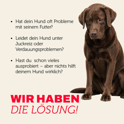 Hund mit Futterproblemen, Juckreiz oder Verdauungsproblemen – mera hat die Lösung
