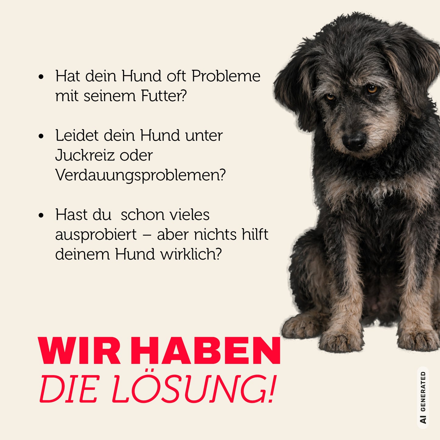 Senior Truthahn & Reis Trockenfutter