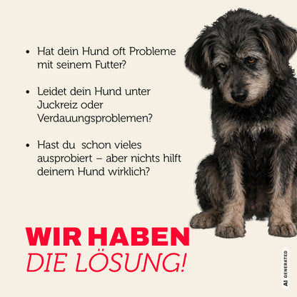 Senior Truthahn & Reis Trockenfutter