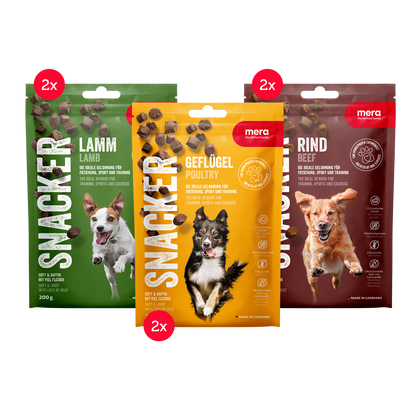 mera SNACKER Mixtray Verpackung 