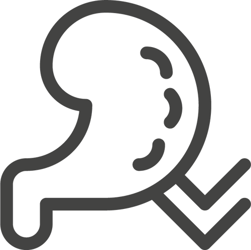 mera vital für Hunde Icon - Entlastung der Nieren