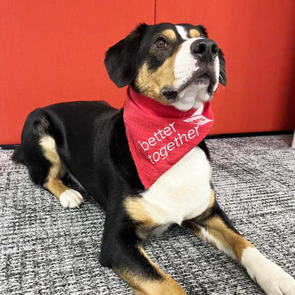 mera rotes Halstuch für den Hund