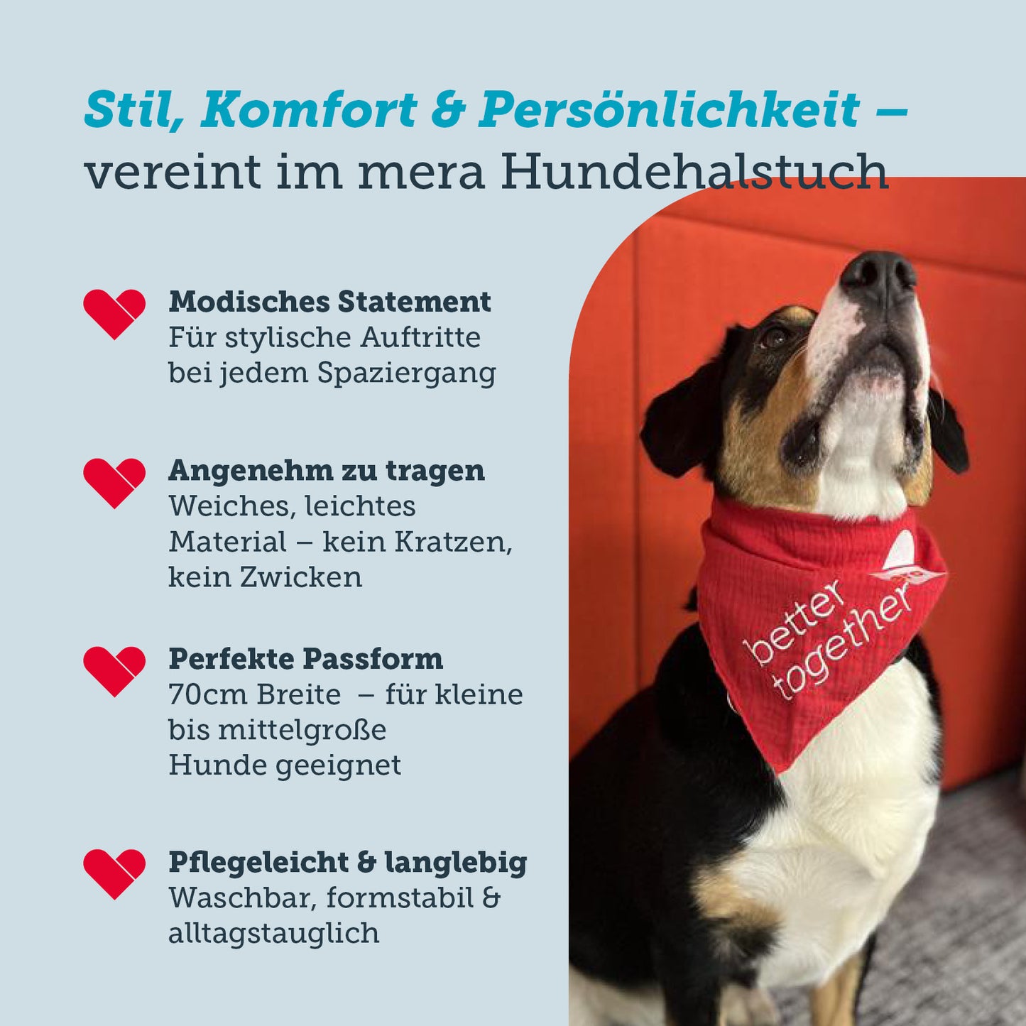 Vorteile vom roten mera Hundehalstuch