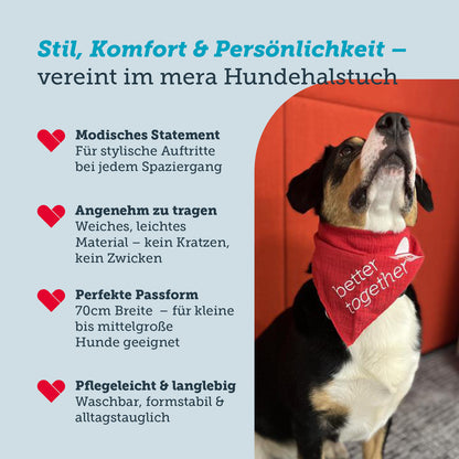 Vorteile vom roten mera Hundehalstuch