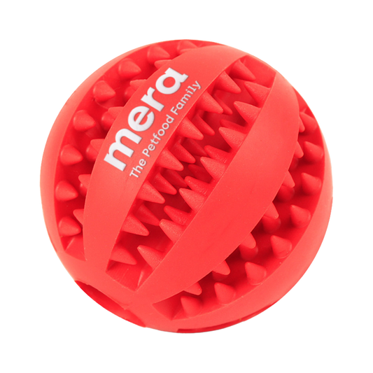 mera Snack Ball – Zahnpflege-Spielzeug zum Befüllen