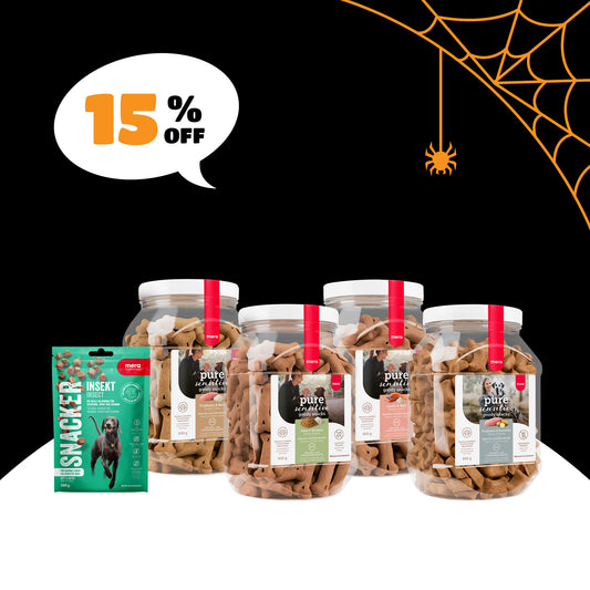 Halloween Sensitive Box - Hund