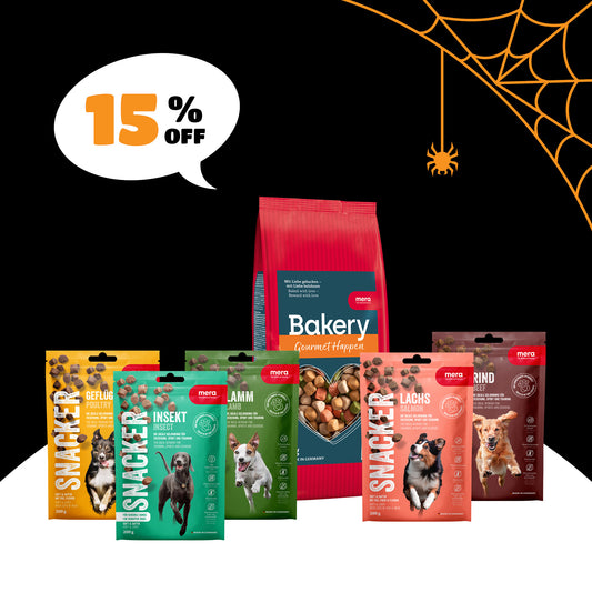 Halloween Treat Box Big - Hund