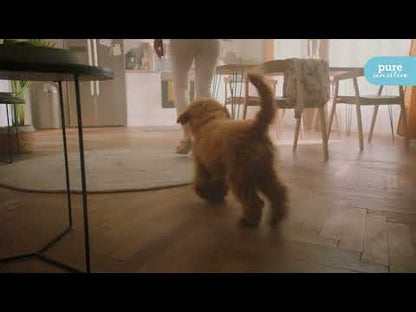 mera pure sensitive hypoallergenes Hundefutter